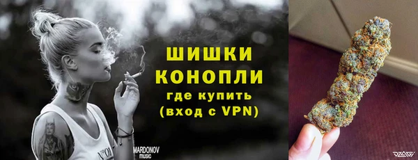 сатива Дмитров