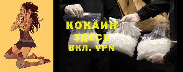 сатива Дмитров