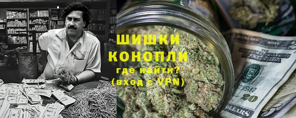 прущая мука Дмитриев