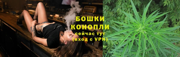 сатива Дмитров