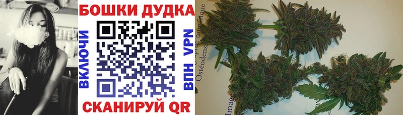 Купить  Медногорск  Конопля гибрид 